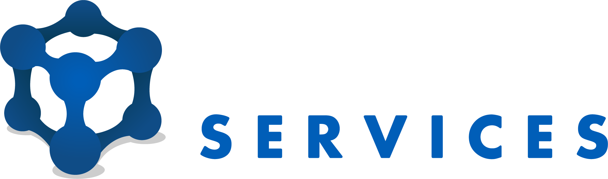 Rich Data Services